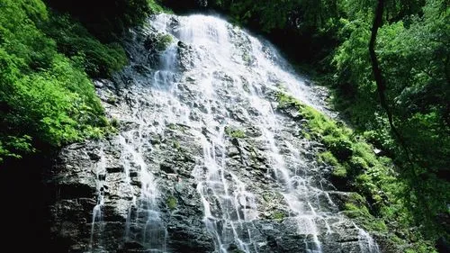 电子绿色精密